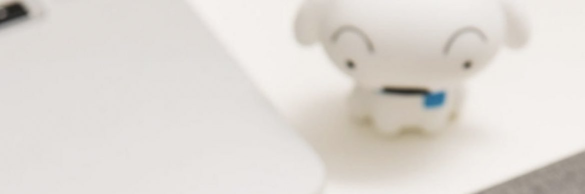 Leon banner
