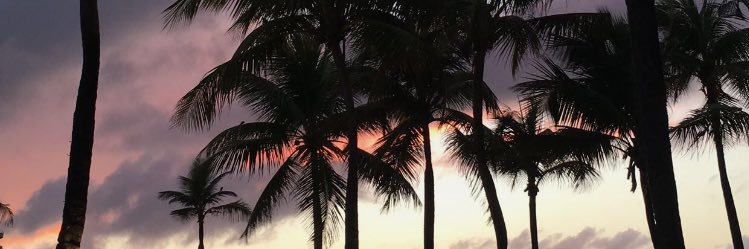 miranda_osborn's profile banner image
