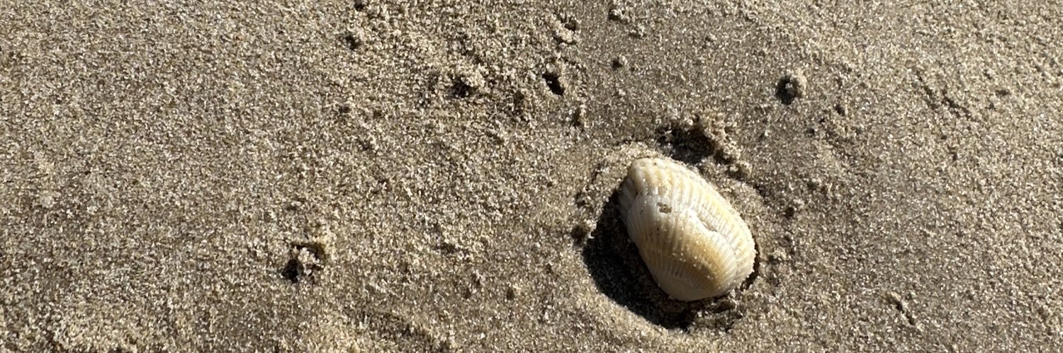 Shellss5's profile banner image