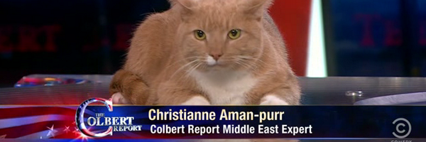 catnipcocoa Profile Banner