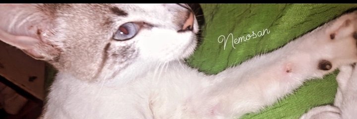1___UMR2's profile banner image