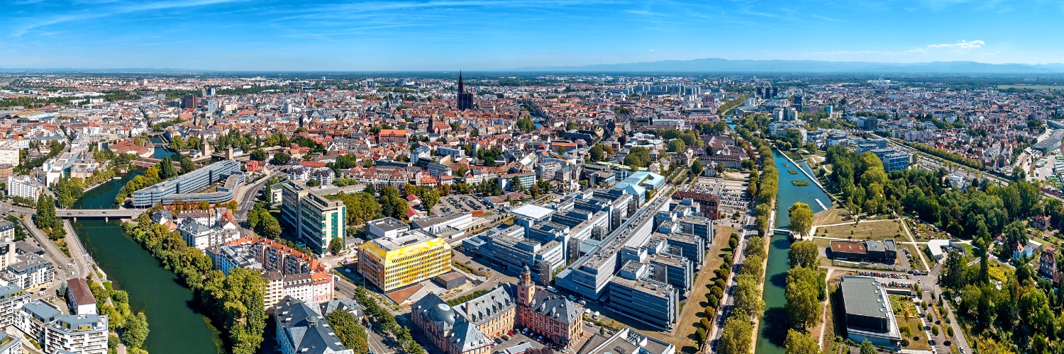 Hamid MERDJI, MD, PhD banner