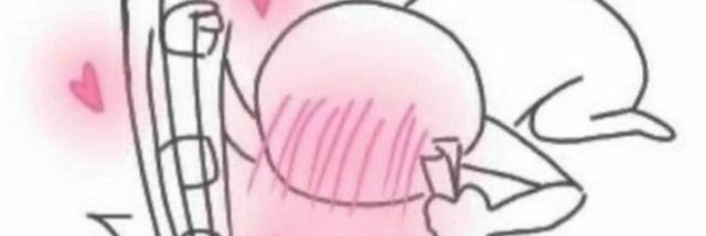 I'm a bitch boy banner