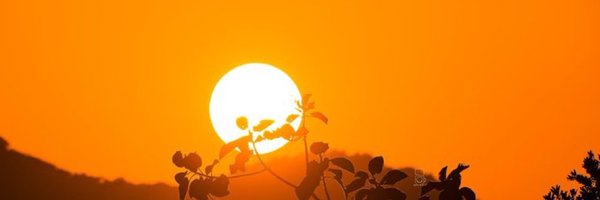 EnocKizito Profile Banner