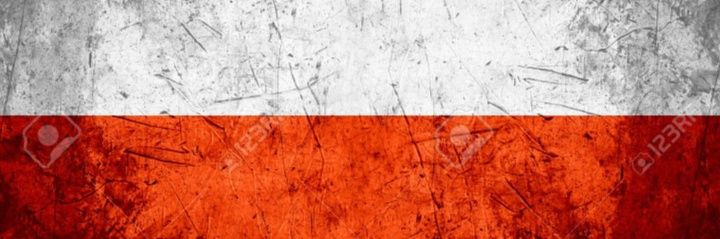 MichalMlyn's profile banner image