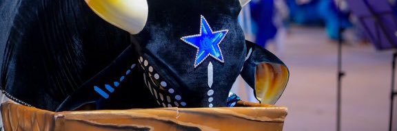 camirodrigues__'s profile banner image