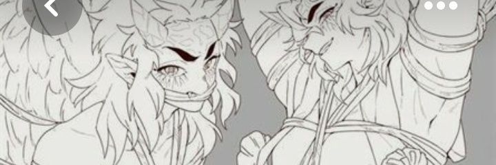 ChanFunki's profile banner image