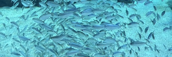 0rig3n Profile Banner