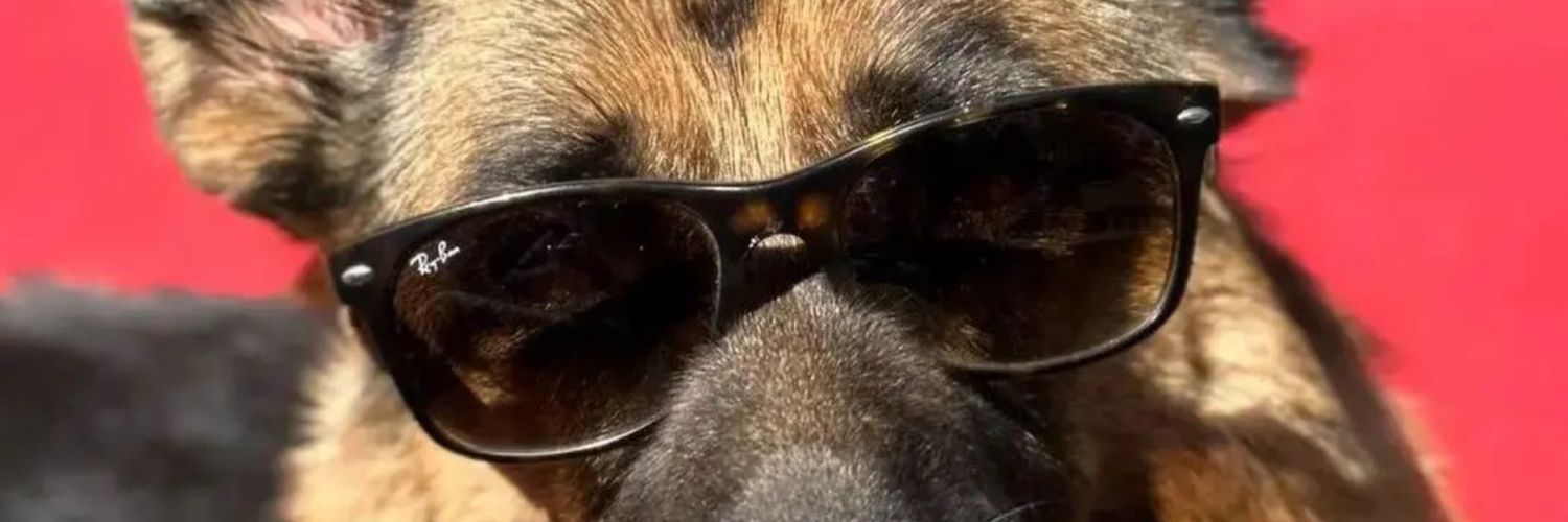 gsdvibes's profile banner image
