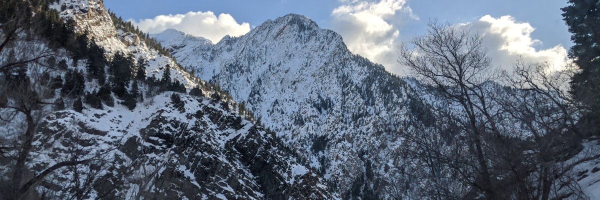 AnthAbou's profile banner image