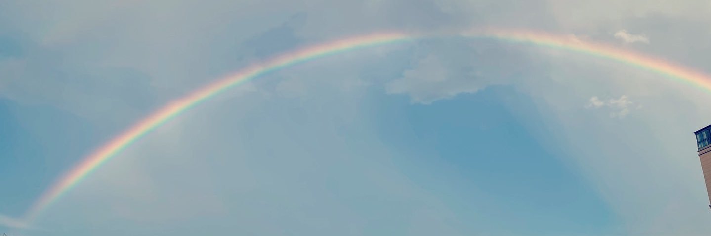 ofcytw_'s profile banner image