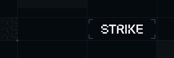 strike_secure Profile Banner