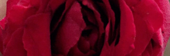 MF_934's profile banner image