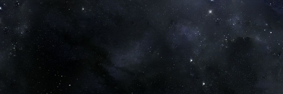 criptoniita's profile banner image