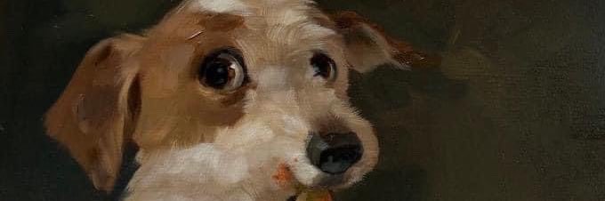 Osgogar_'s profile banner image