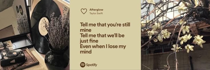 umi 𓍢ִ໋🍊 ֪⁺ seeing monsta x banner