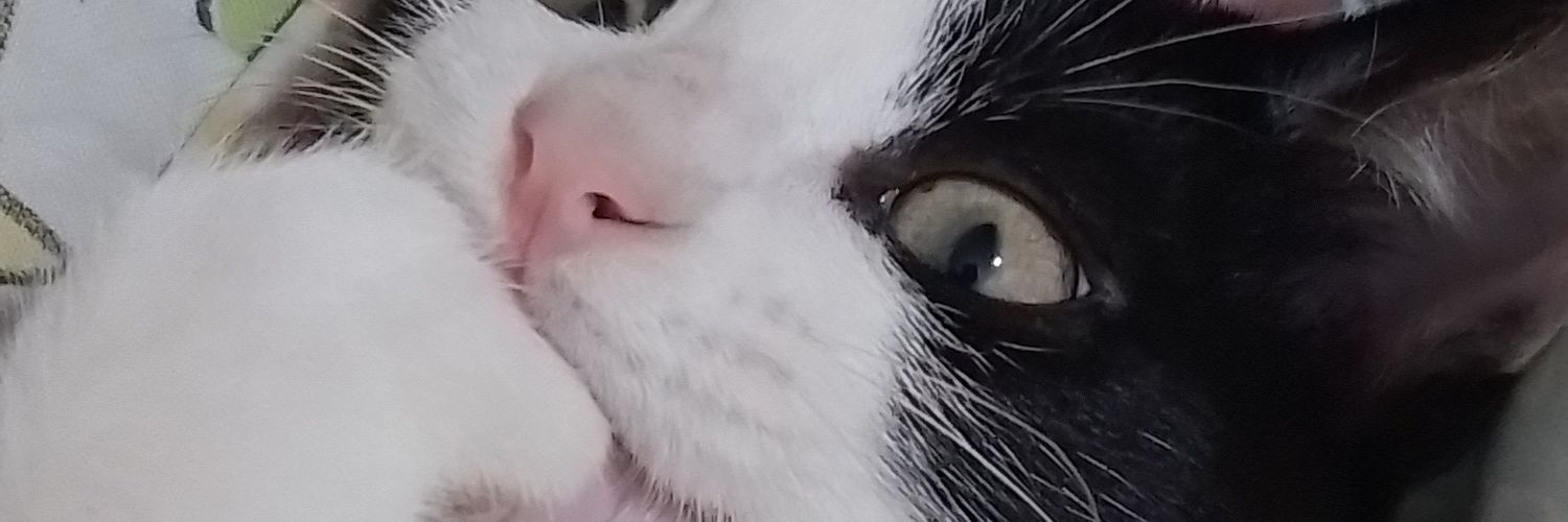 ash_mendoz4's profile banner image