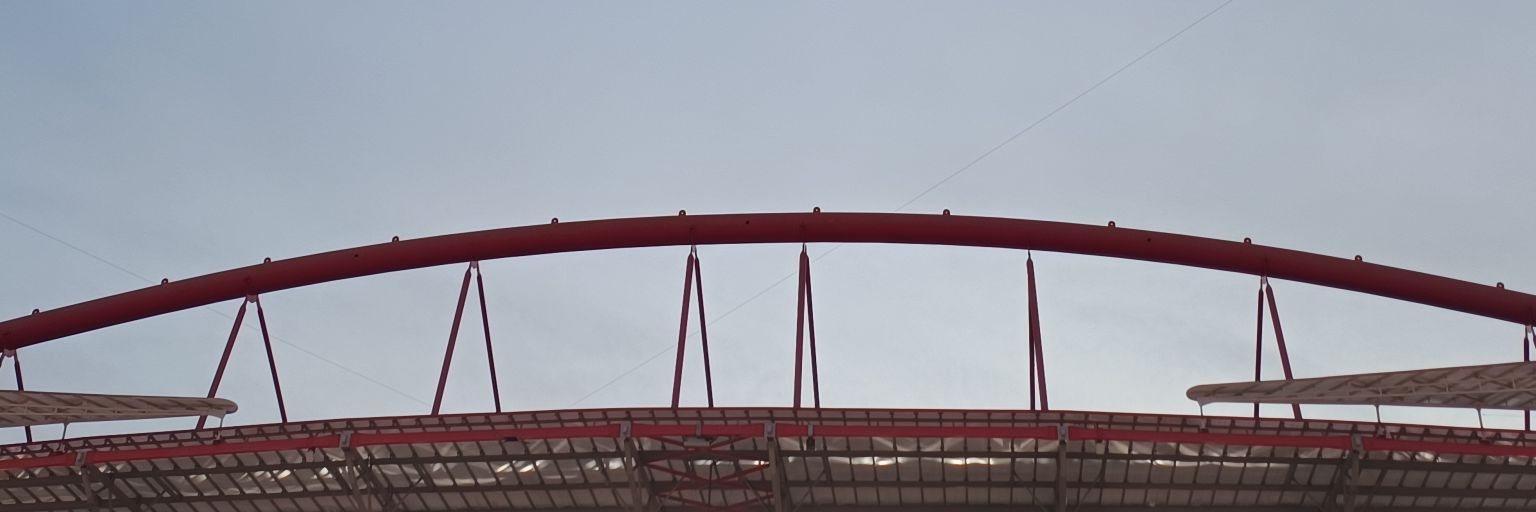 João Moço, Radical Profissional banner
