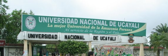 Anita Rojas banner