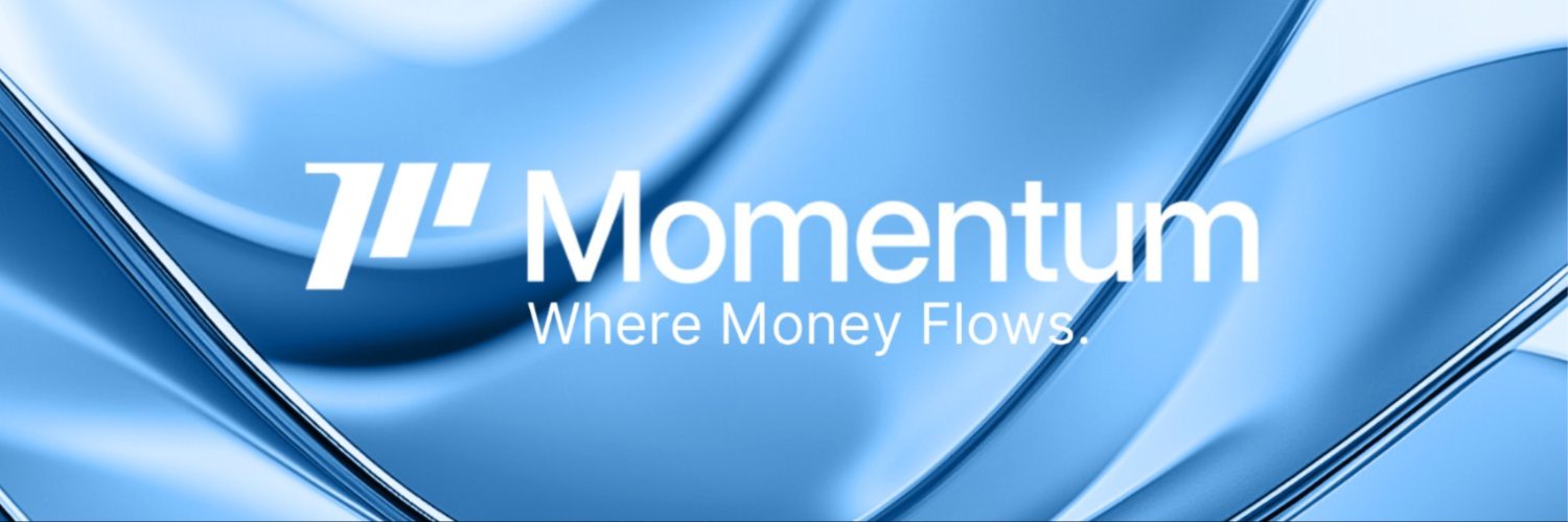 Momentum's banner