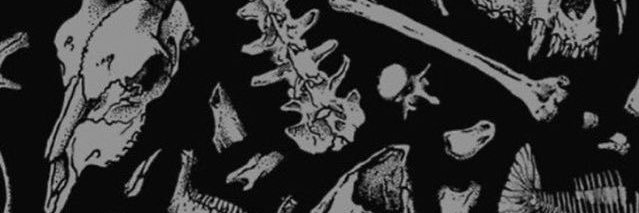 arluelle's profile banner image