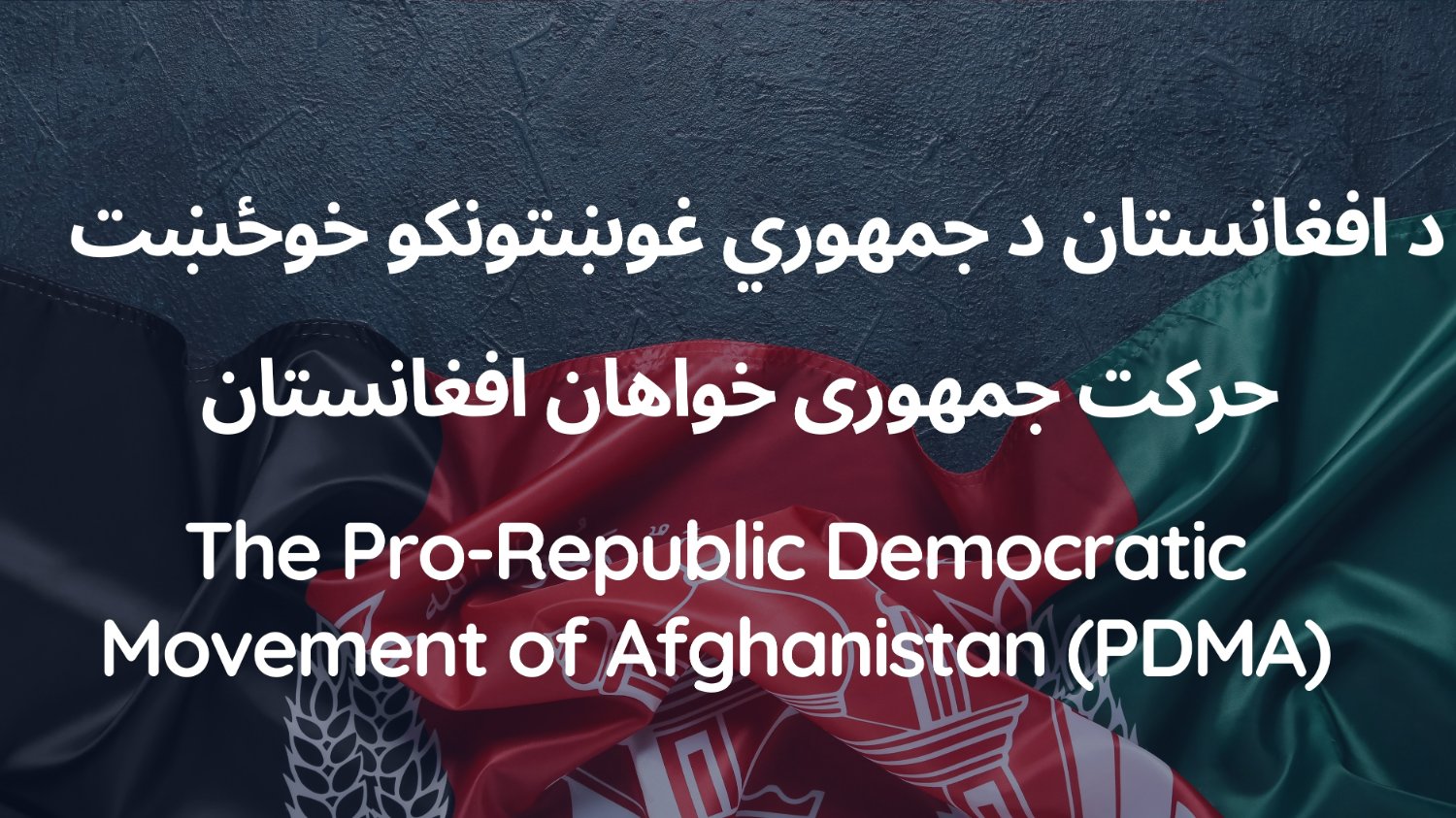 ProRepublicAfg's profile banner image