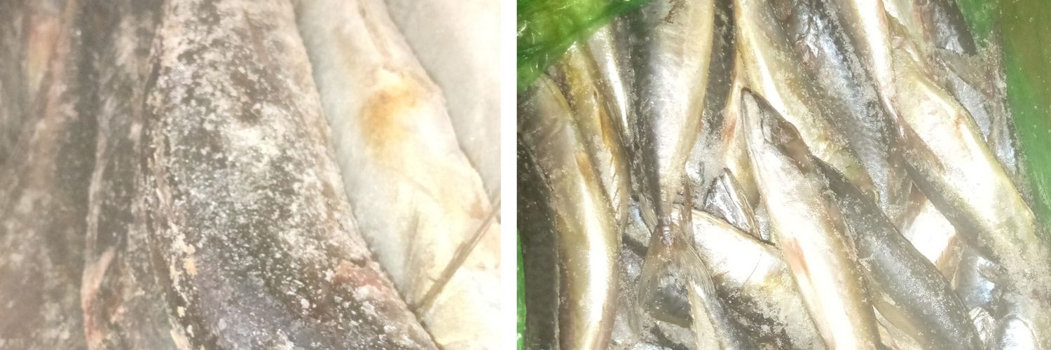 NabaloumFail's profile banner image