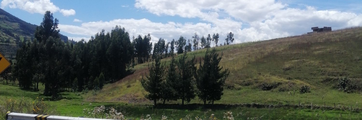 nomiresmicontenido banner