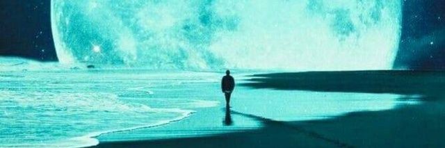 ryad93313549's profile banner image