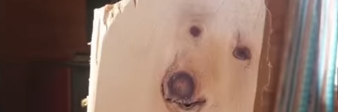 CXander5045's profile banner image
