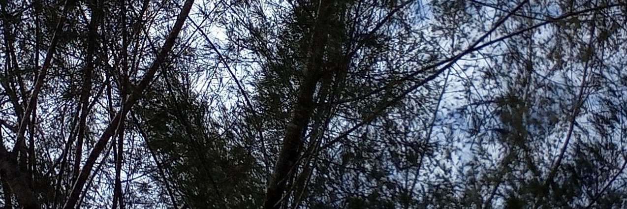 adeyatiku's profile banner image