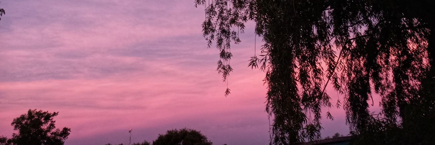 ViirgiMartinez's profile banner image