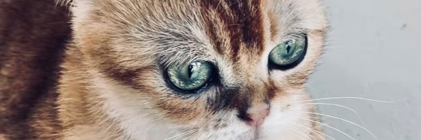 jesenn09's profile banner image