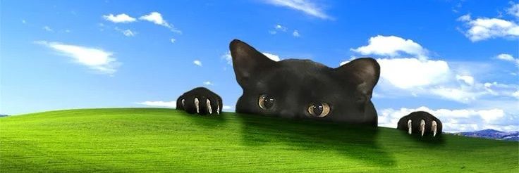elif banner