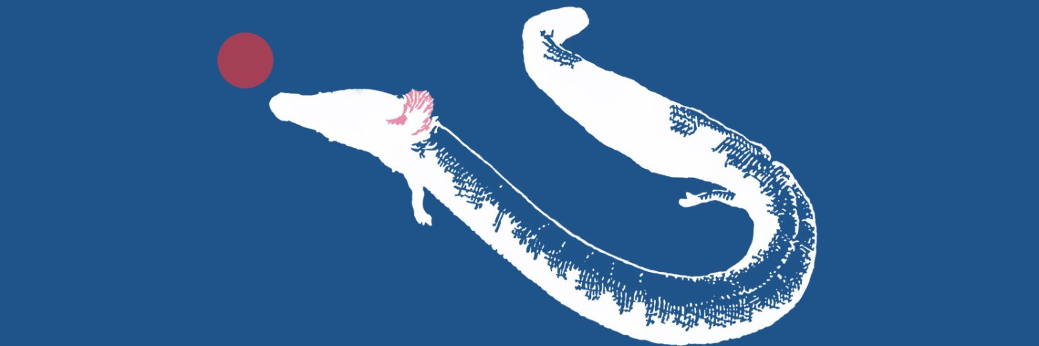 MagicDirticus's profile banner image