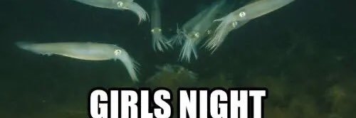 ghost__pkmn's profile banner image
