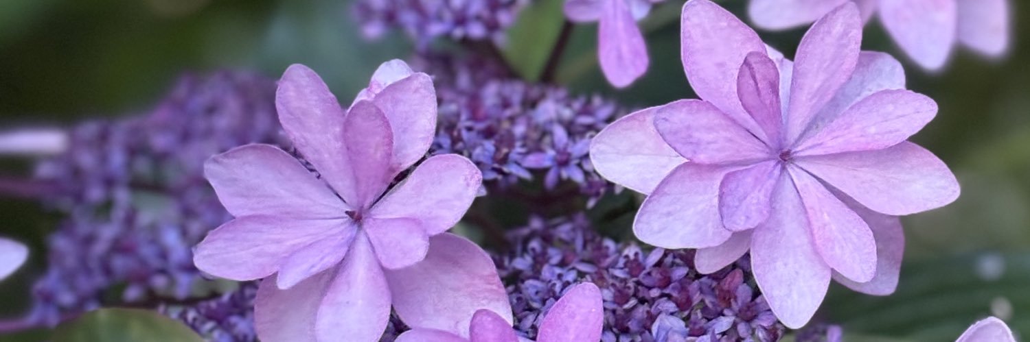 まりー🍯 banner