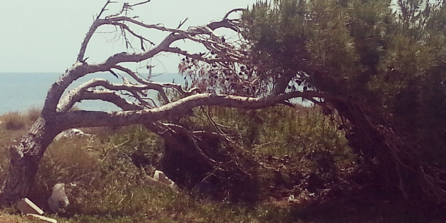 Fernando Suárez🇪🇦🇺🇦🇮🇱 banner