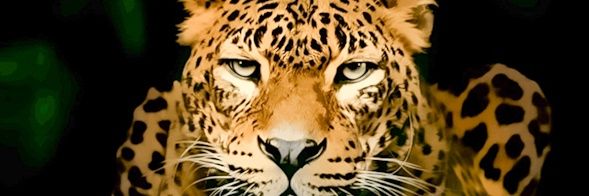 Jaw_Sure's profile banner image