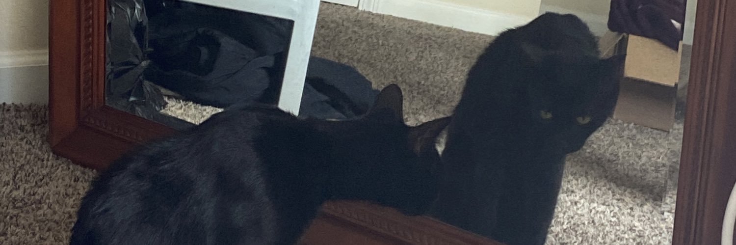 evilcatmother's profile banner image