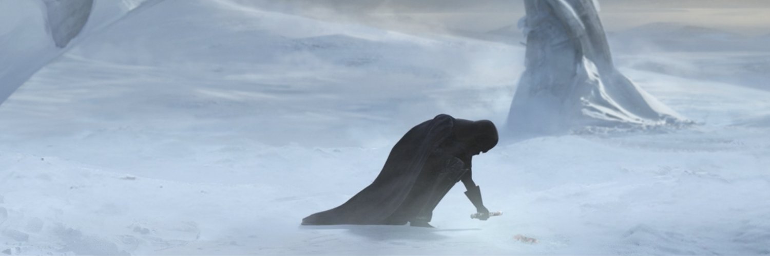 crnrdfox's profile banner image