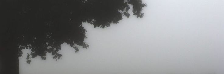 latibule_hani's profile banner image