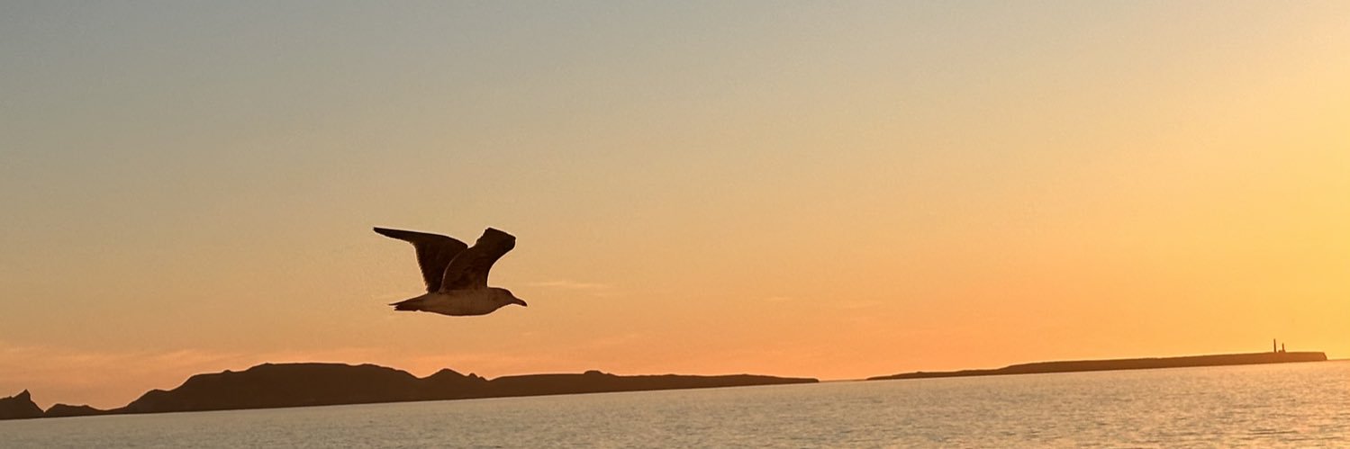 🄺🄰🅃🄴 ㋛ banner