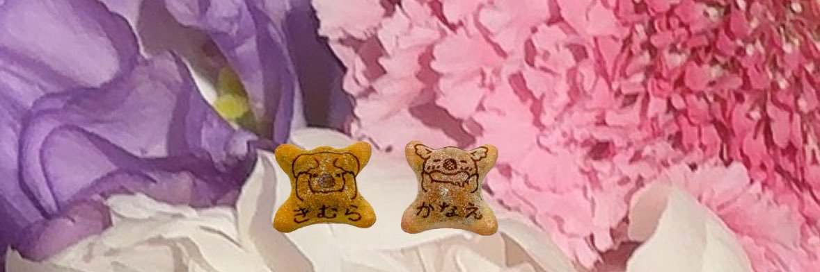 𝒴 banner