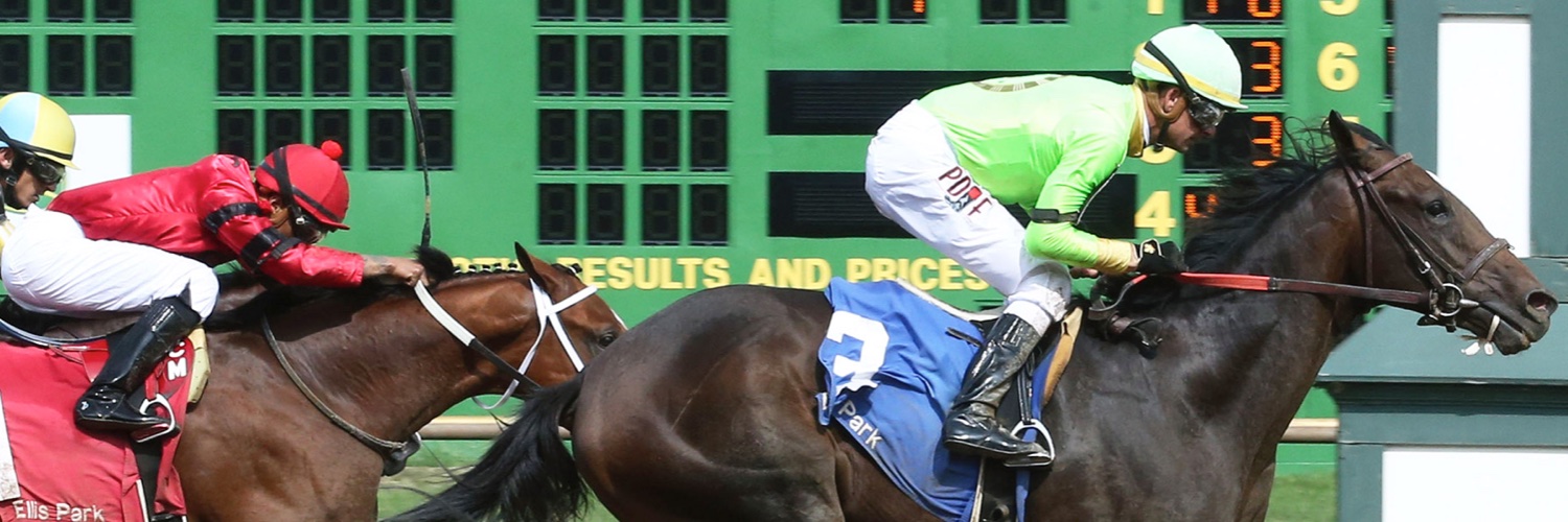 The Sharp Plays Horse Racing banner