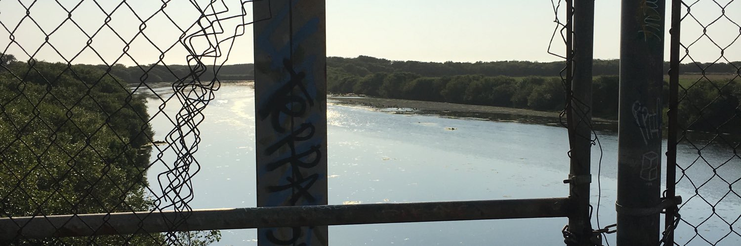 BrownRecluse 🇲🇽🇵🇸 banner