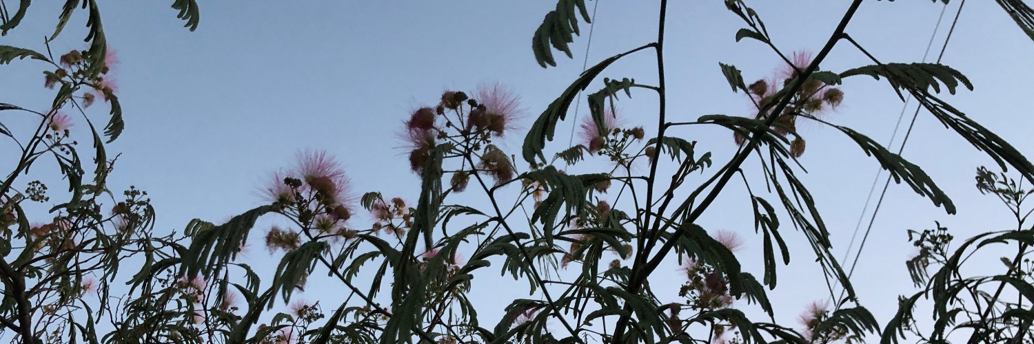 mmdnnp's profile banner image