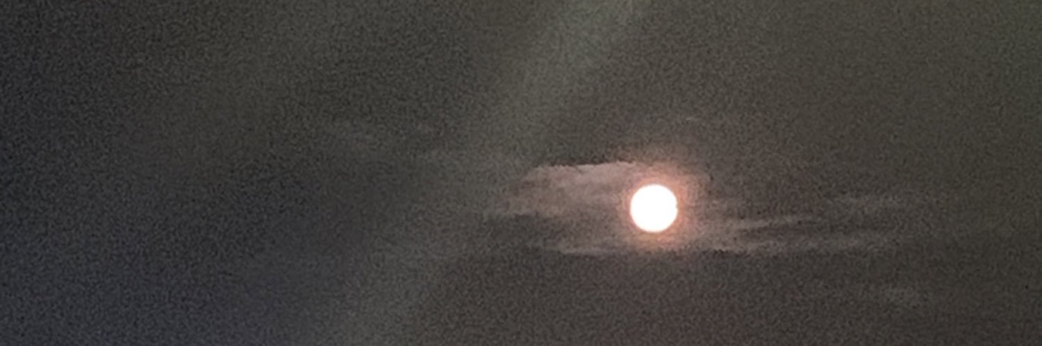 ☥ banner