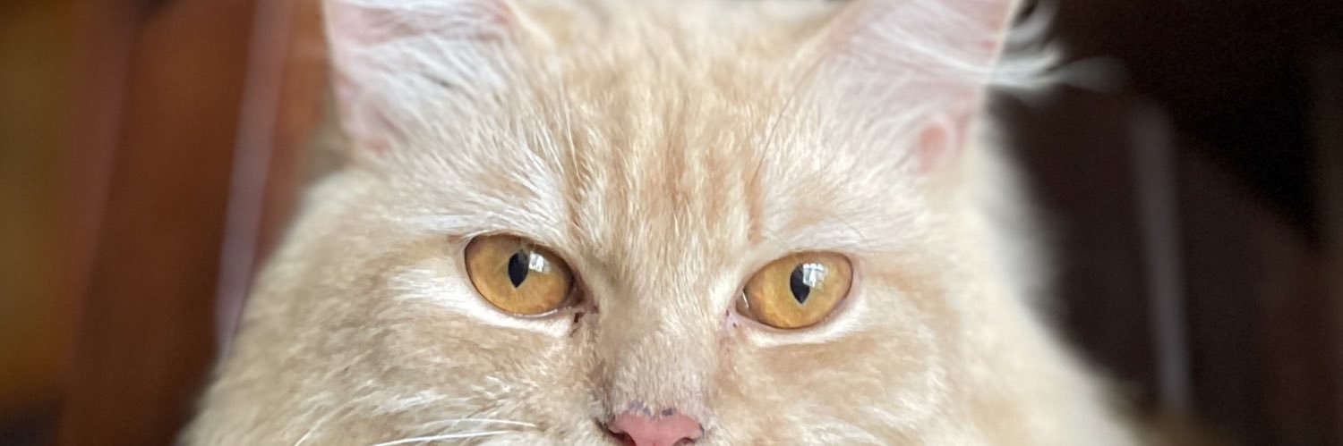 choxilat's profile banner image