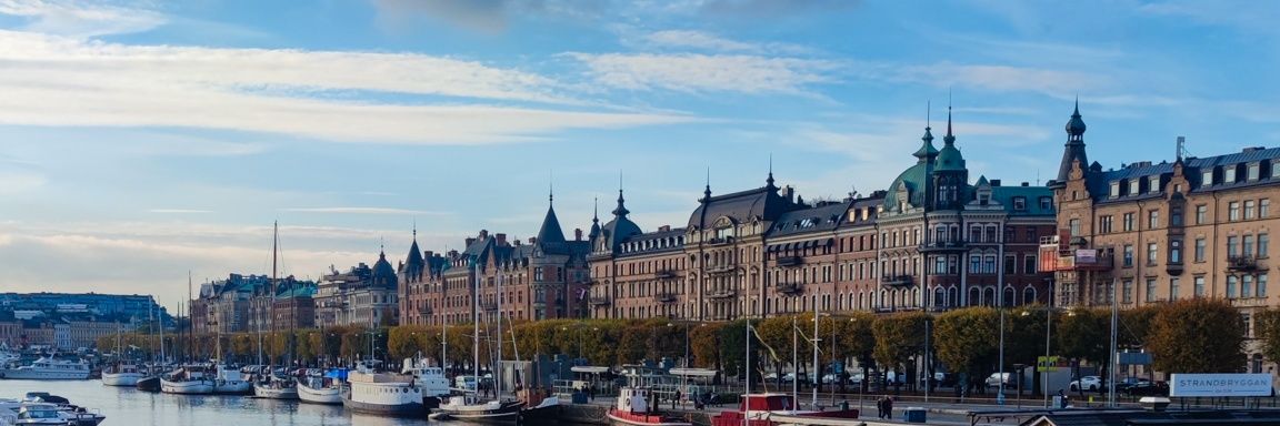 Dr Iva Filipovic banner